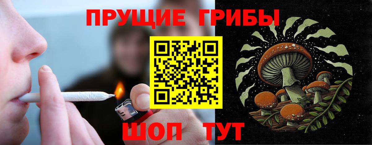Галлюциногенные грибы GOLDEN TEACHER  Псилоцибиновые грибы мухоморы  Вход с VPN  Киселёвск 